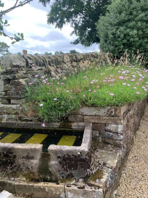 הוילה Longnor  Ivy House Farm, Near Longnor מראה חיצוני תמונה