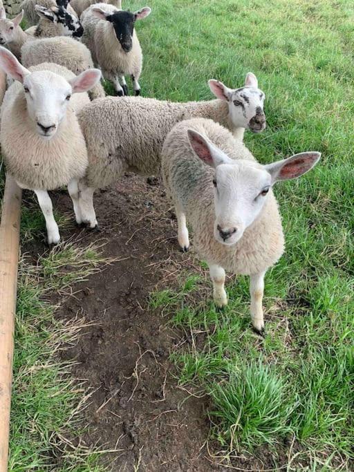 הוילה Longnor  Ivy House Farm, Near Longnor מראה חיצוני תמונה