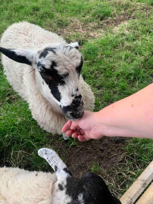 הוילה Longnor  Ivy House Farm, Near Longnor מראה חיצוני תמונה